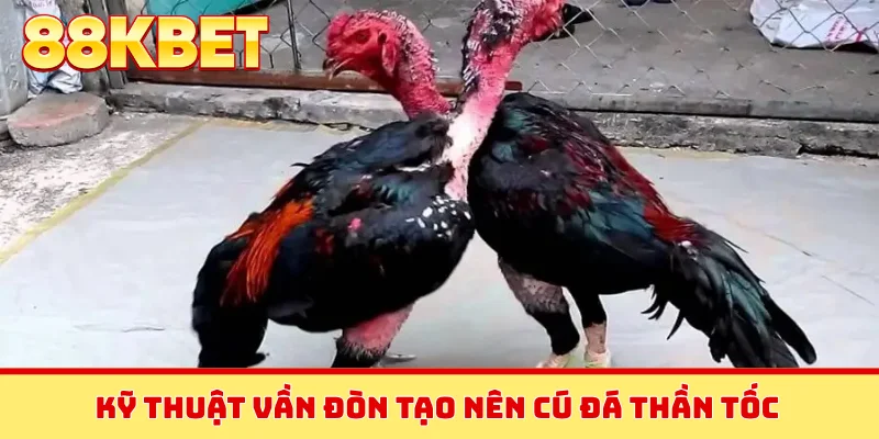 Kỹ thuật vần đòn tạo nên cú đá thần tốc