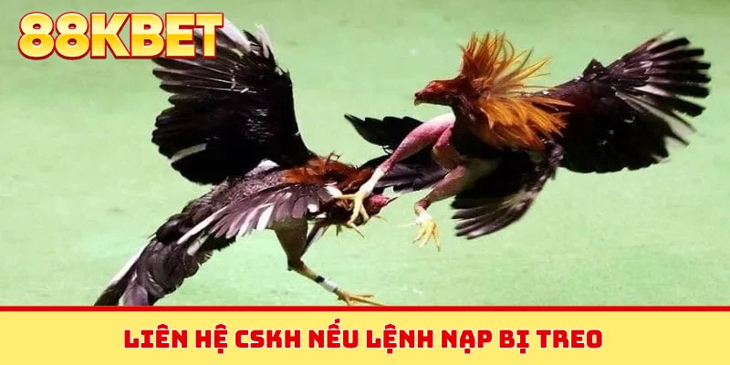 Liên hệ CSKH nếu lệnh nạp bị treo