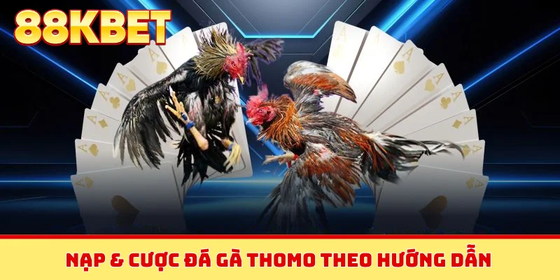 Nạp & cược đá gà Thomo