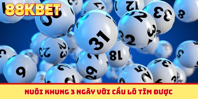 Nuôi khung 3 ngày với cầu lô tìm được