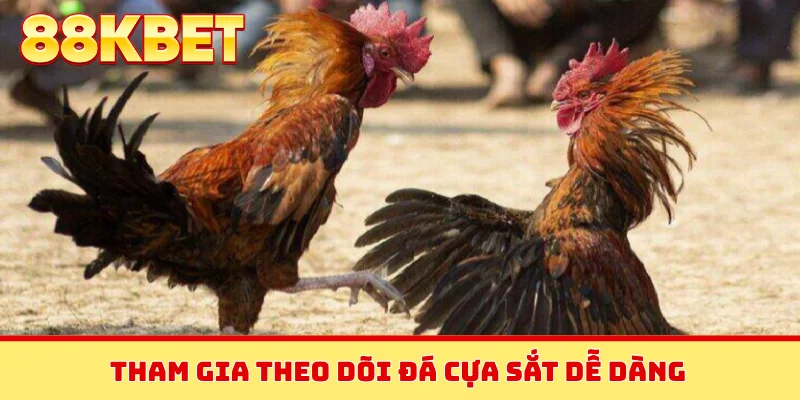 Tham gia theo dõi đá cựa sắt dễ dàng