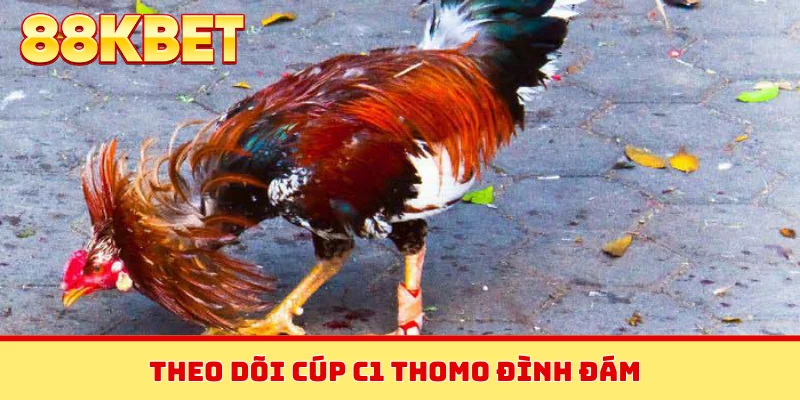 Theo dõi cúp C1 Thomo đình đám
