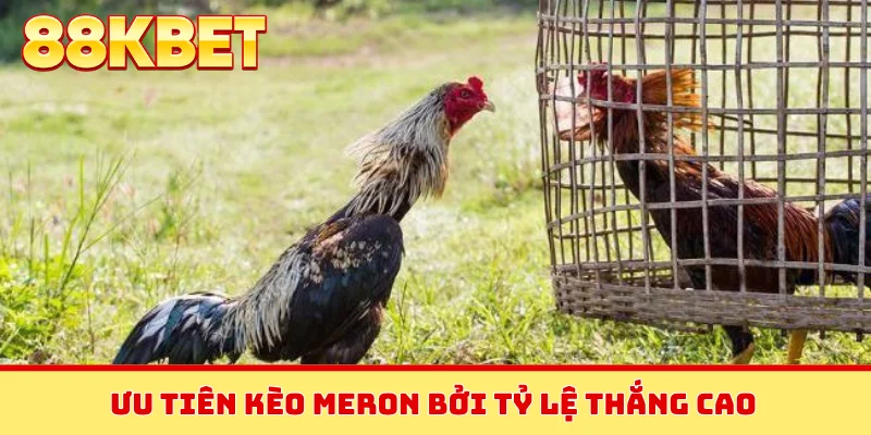 Ưu tiên kèo Meron bởi tỷ lệ thắng cao